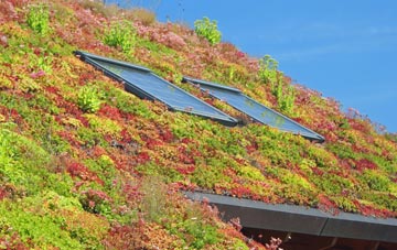 Grimbister living roof systems