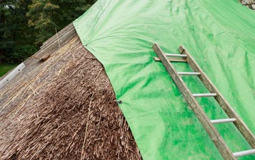 maintaining Grimbister thatch