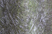 Grimbister fibreglass roof work